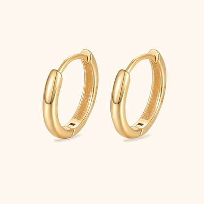 Elegant Arch Earrings