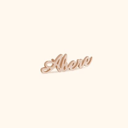 Luxurious Name Plate Earrings